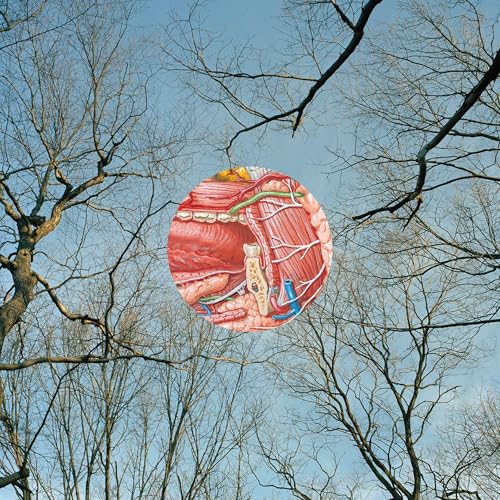 They Might Be Giants - Glean ((Vinyl))