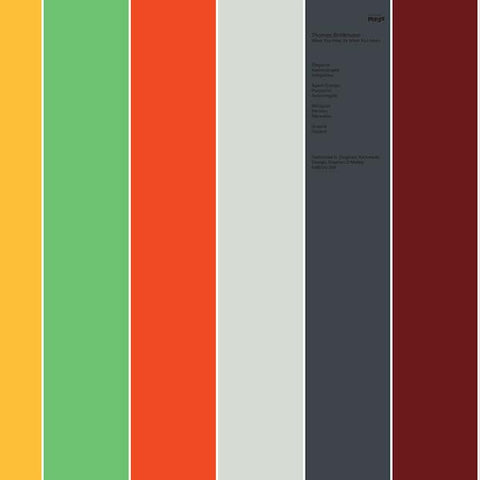 THOMAS BRINKMANN - What You Hear (Is What You Hear) ((Vinyl))