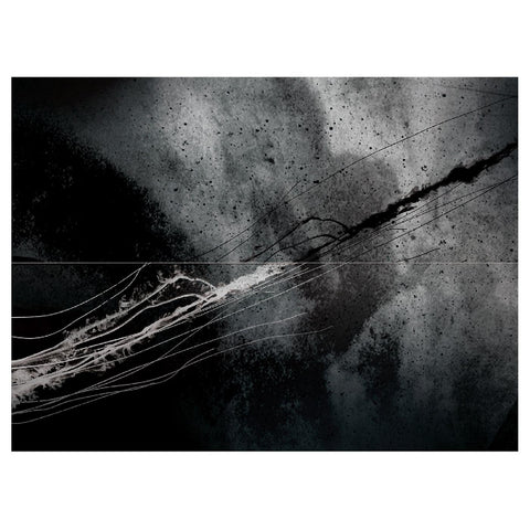 Throw Down Bones - Two ((Vinyl))