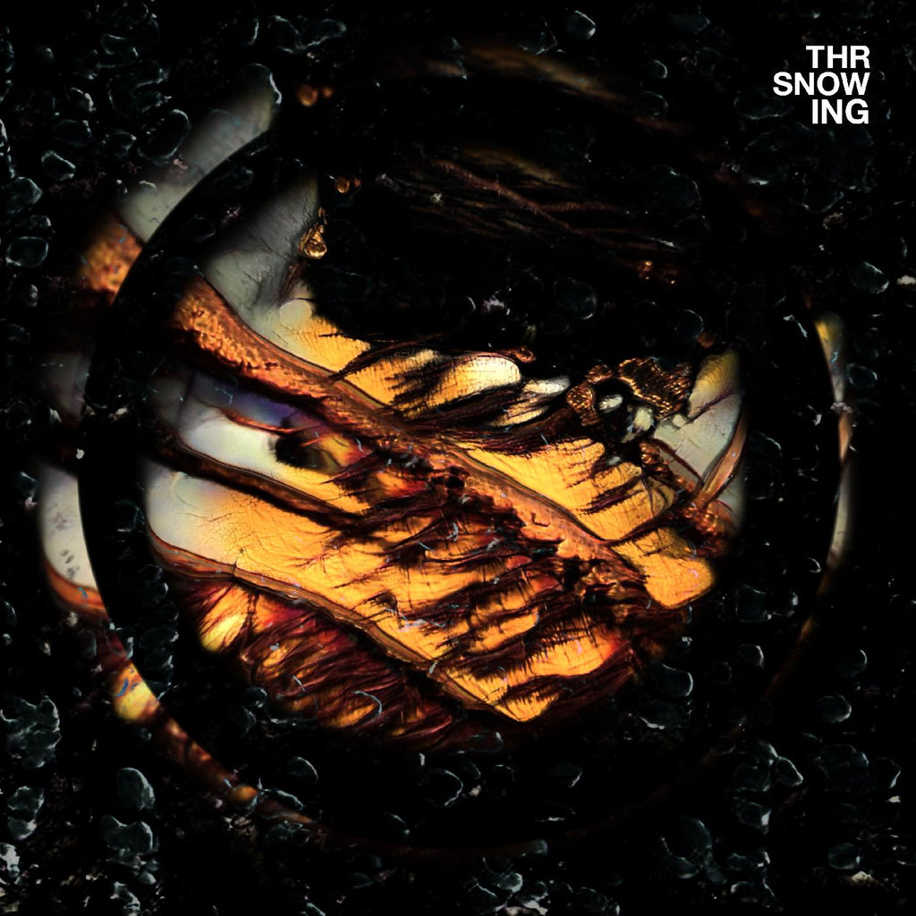 Throwing Snow - Dragons (Marbled Orange Vinyl) ((Vinyl))