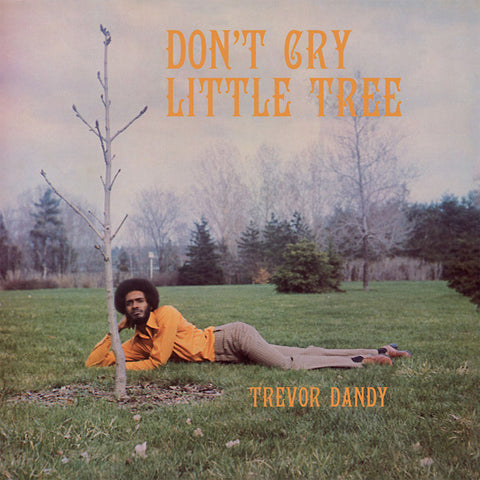 TREVOR DANDY - Don't Cry Little Tree ((CD))
