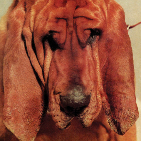 Ty Segall - Goodbye Bread ((Vinyl))