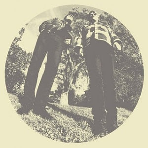 Ty & White Fence Segall - Hair ((Vinyl))