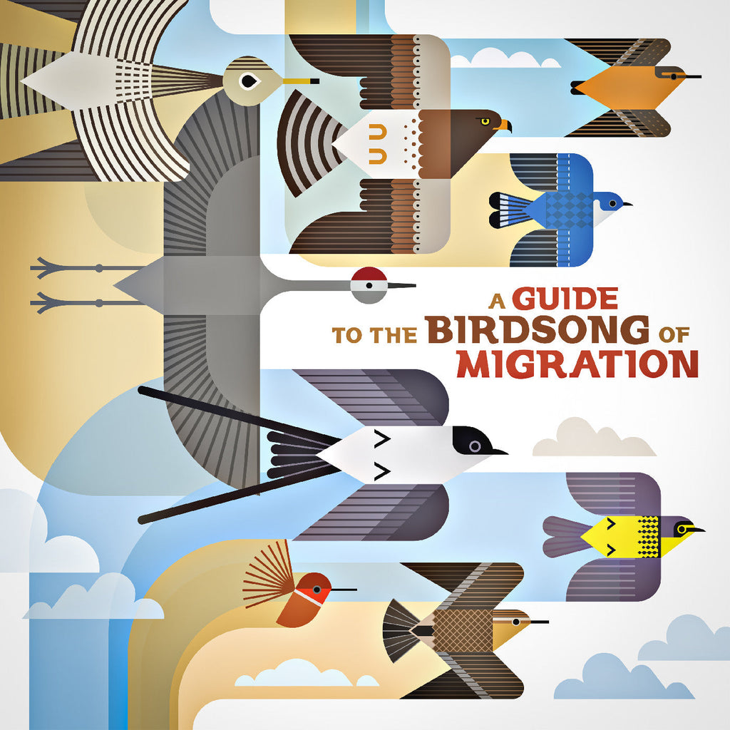 Various Artists - A Guide To The Birdsong Of Migration ((CD))