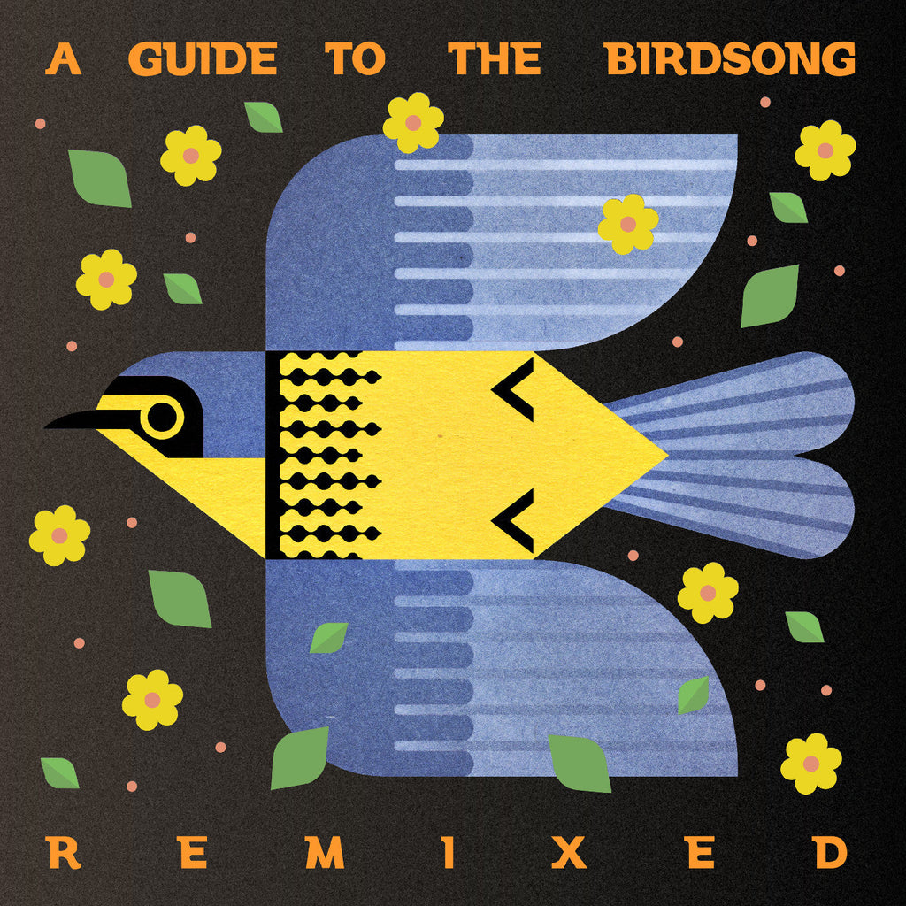 Various Artists - A Guide To The Birdsong Remixed (180G) [2LP] ((Vinyl))