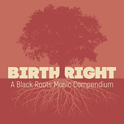 Various Artists - Birthright: A Black Roots Music Compendium [2 CD] ((CD))