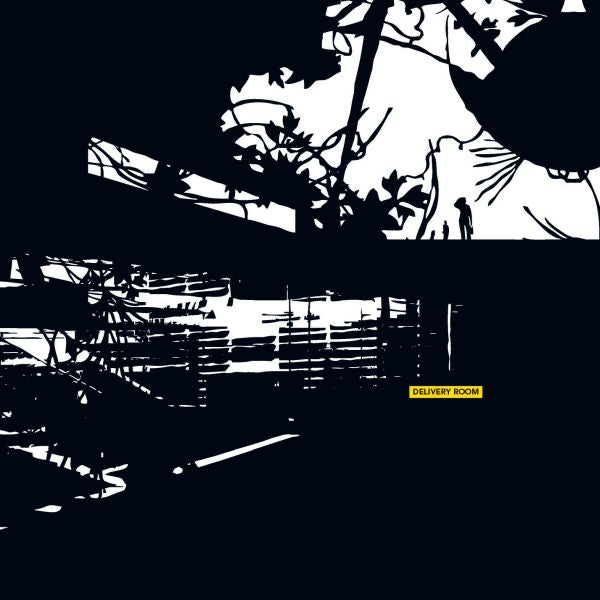 Various Artists - Delivery Room ((Dance & Electronic))