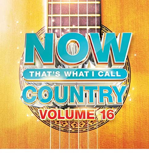 Various Artists - NOW Country 16 ((CD))