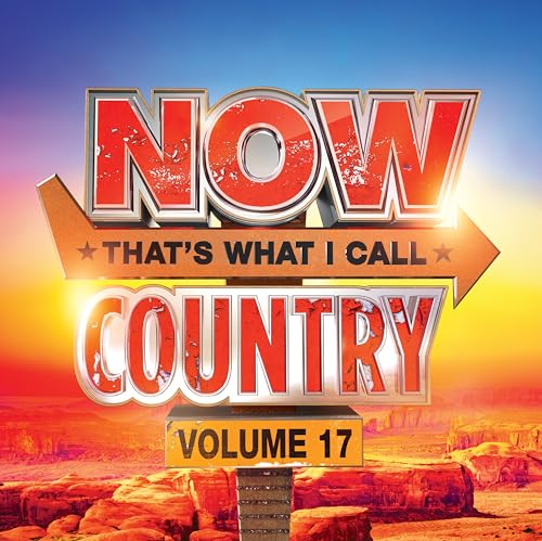 Various Artists - NOW Country 17 ((CD))