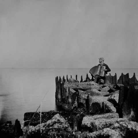 Walt McClements - A Hole In The Fence ((Vinyl))