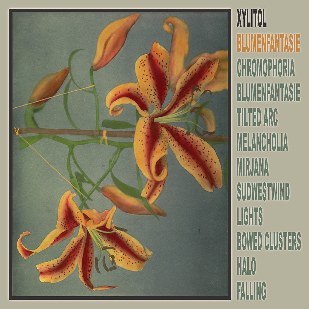 Xylitol - Blumenfantasie ((Vinyl))