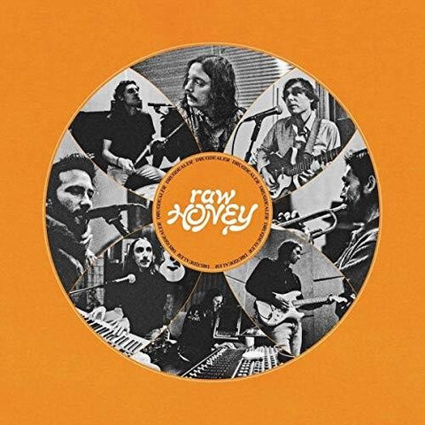 Drugdealer - Raw Honey ((Vinyl))